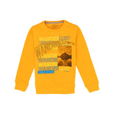 round neck sweatshirt for boys